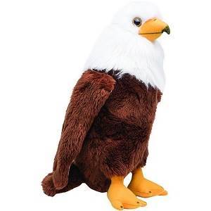 Large Eagle